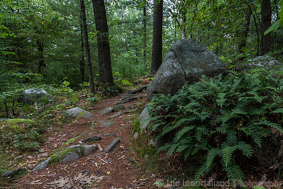 Coolidge Reservation