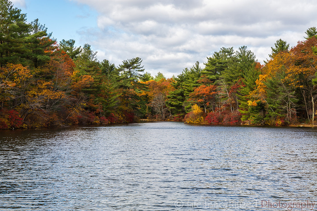 Breakheart Reservation