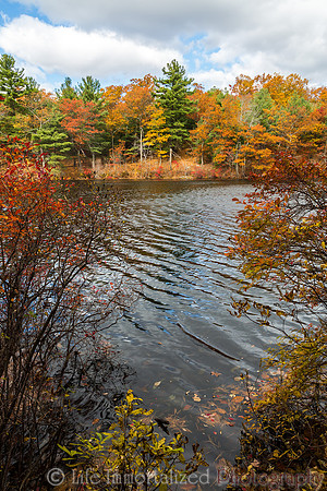 Breakheart Reservation