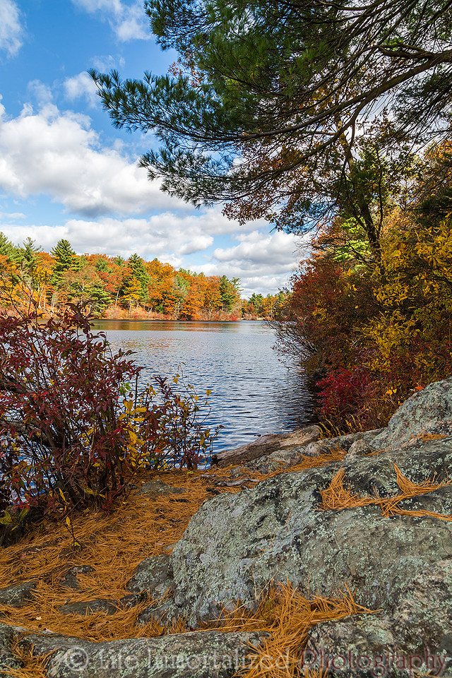 Breakheart Reservation