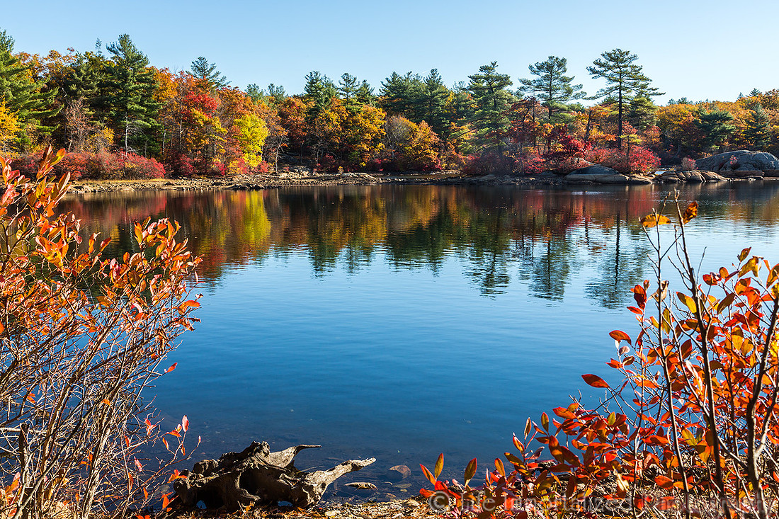 Breakheart Reservation
