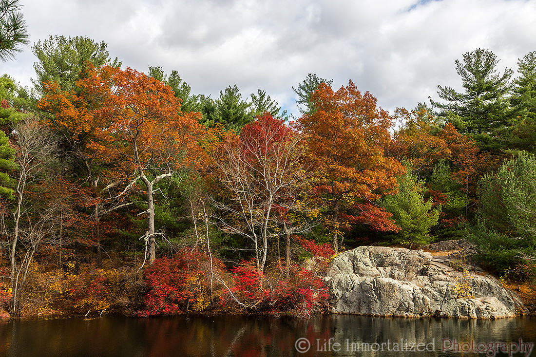Breakheart Reservation