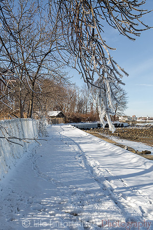 Forest River Snow