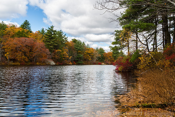 Breakheart Reservation