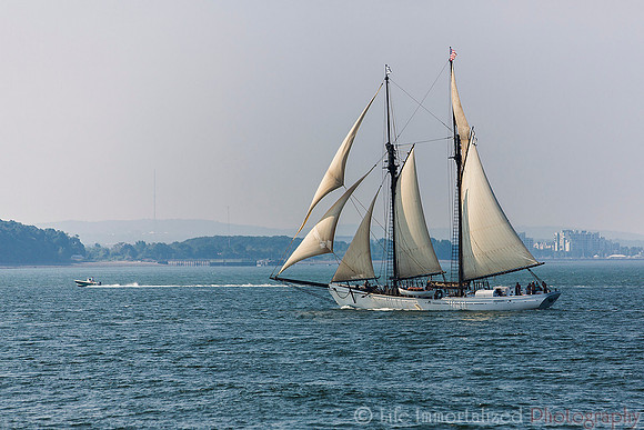 Boat sailing in Boston Harbor