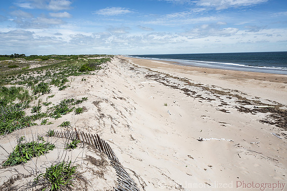 The Beach of Plum Island
