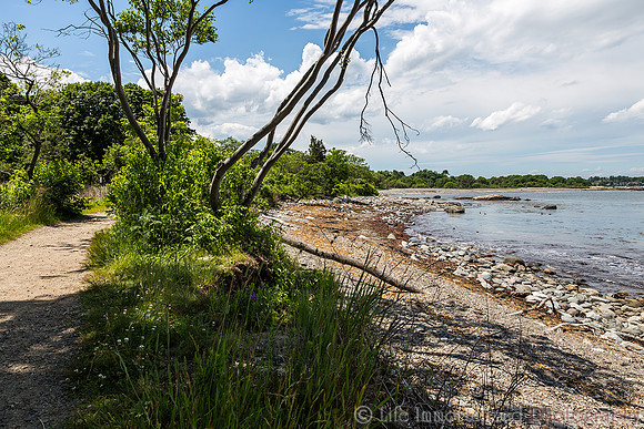 Odiorne Point State Park