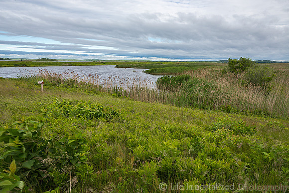 Plum Island Hellcat Trail