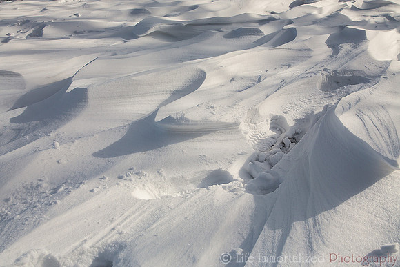 Snow texture
