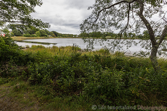 Coolidge Reservation