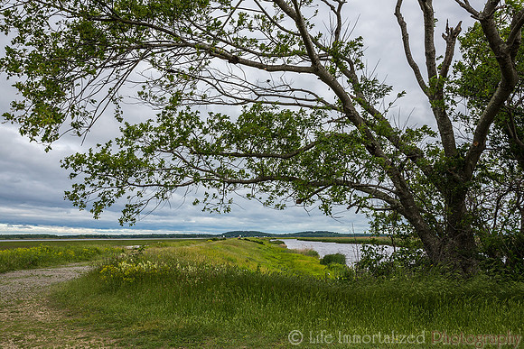 Plum Island Hellcat Trail