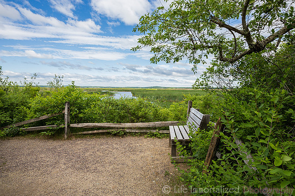 Marsh Loop Nature Blind
