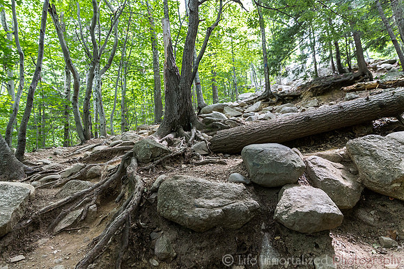 Mt. Major Blue Trail