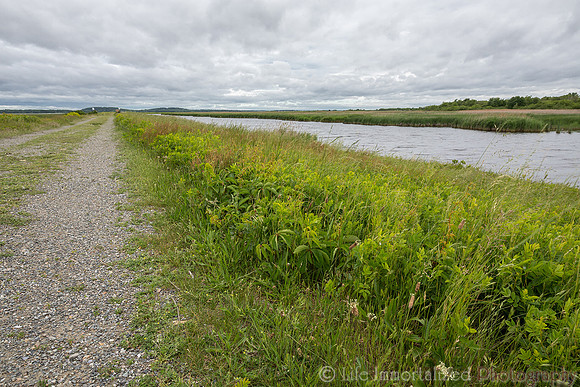 Plum Island Hellcat Trail