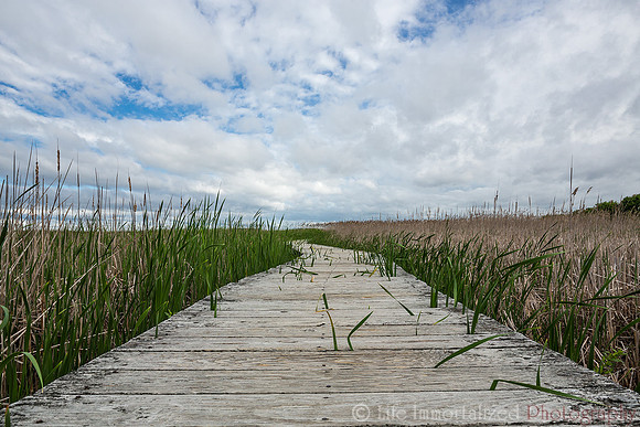 Plum Island Hellcat Trail