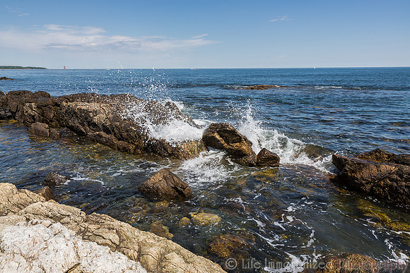 Ocean Splash