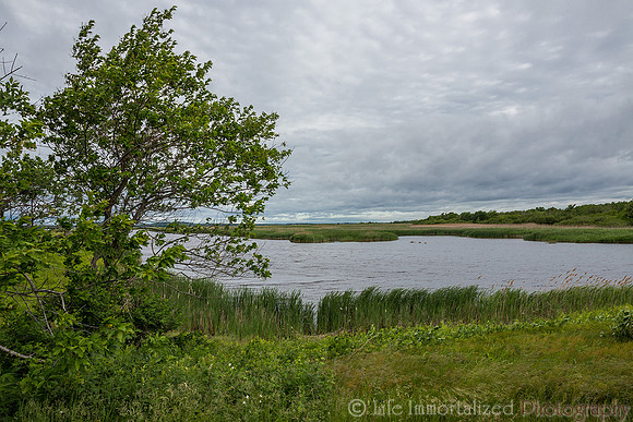 Plum Island Hellcat Trail
