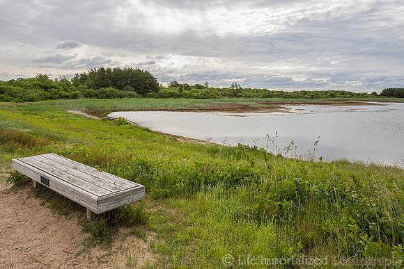 Plum Island Hellcat Trail