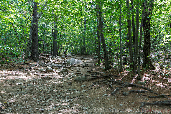 Mt. Major Blue Trail