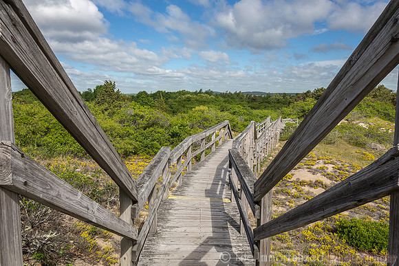Plum Island Dune Trail