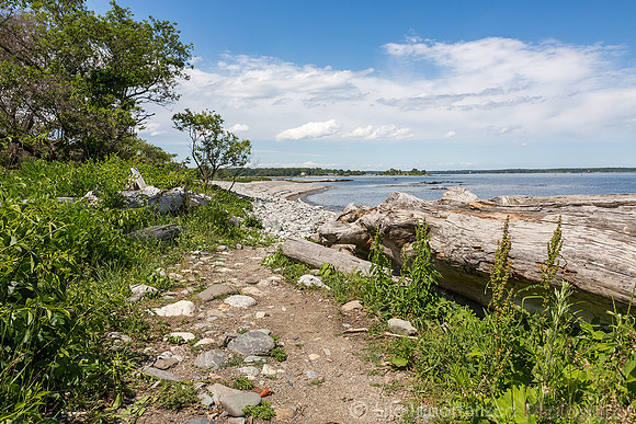 Odiorne Point State Park