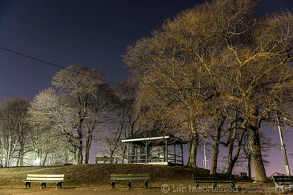 Salem Willows after Dark