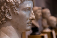 Museum of Fine Arts