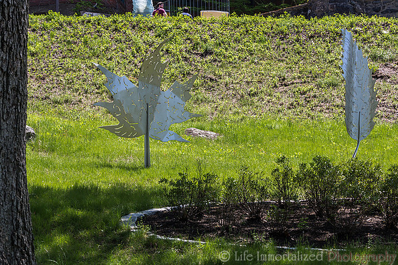 deCordova Sculpture Park