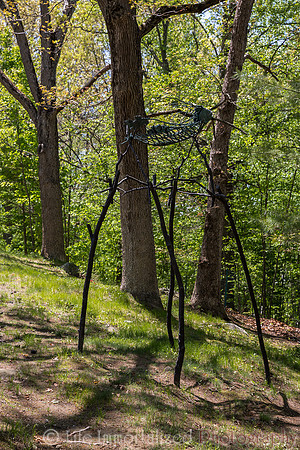 deCordova Sculpture Park