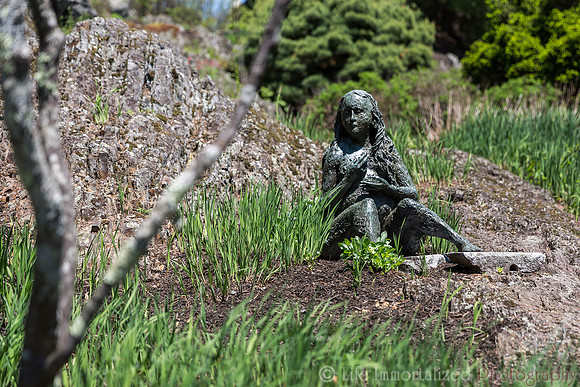 deCordova Sculpture Park