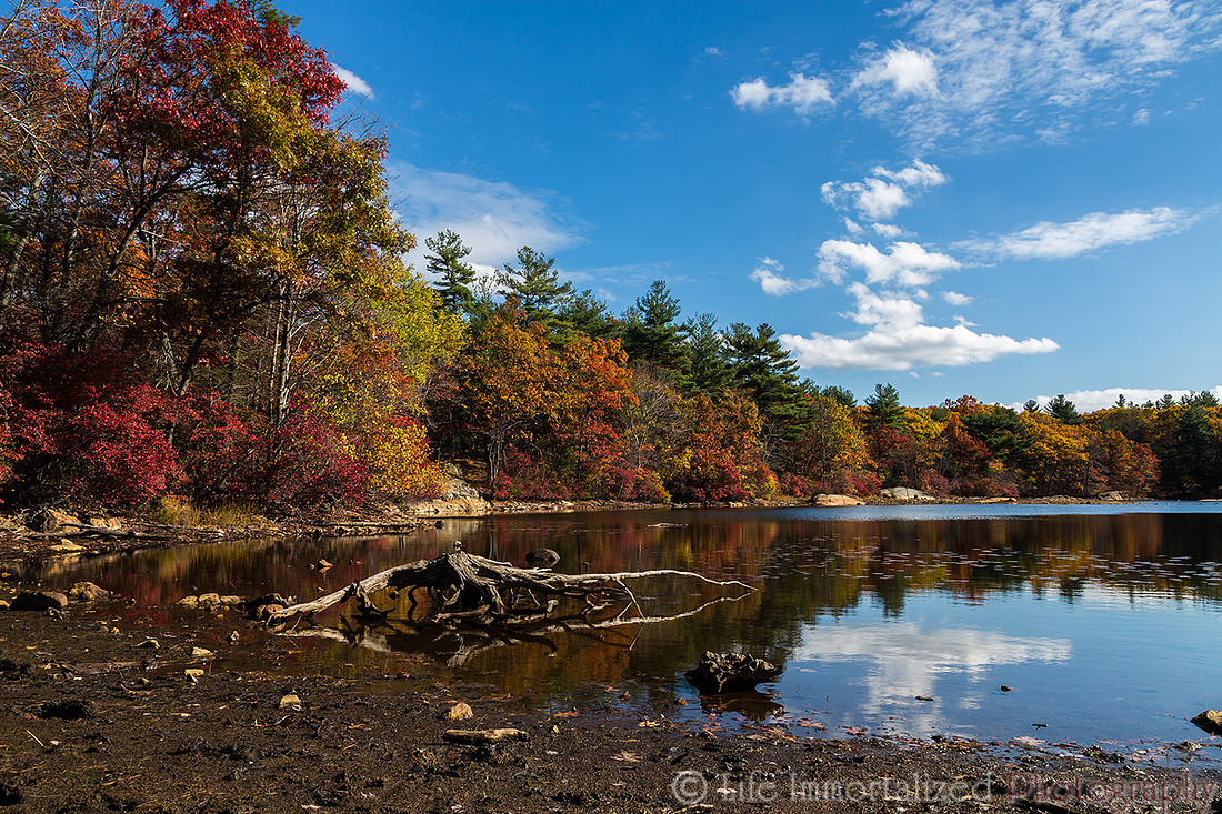 Fall Foliage at Breakheart Reservation