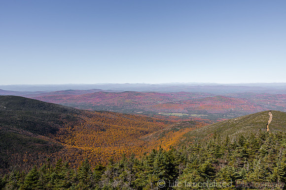 Cannon Mountain Foliage