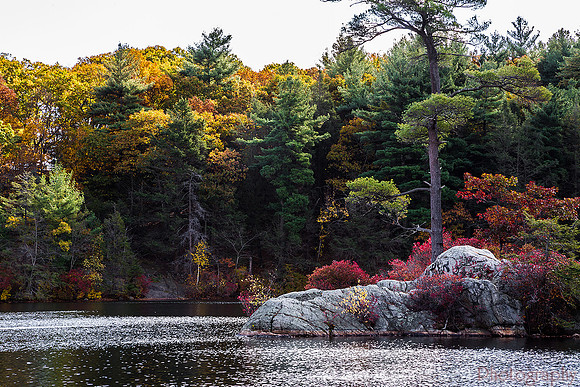 Fall foliage at Breakheart Reservation