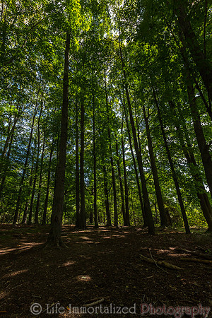 Ipswich River Wildlife Sanctuary