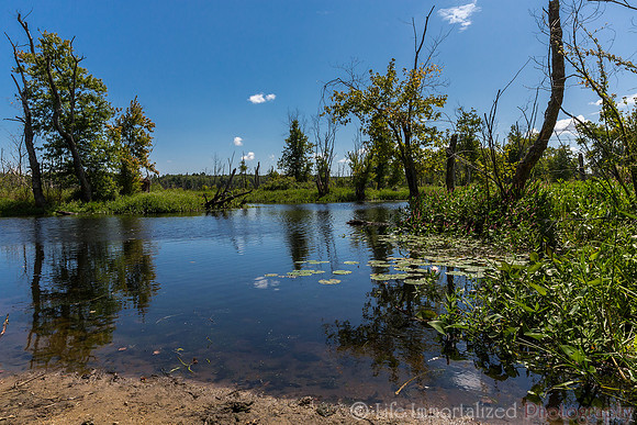 Ipswich River Wildlife Sanctuary