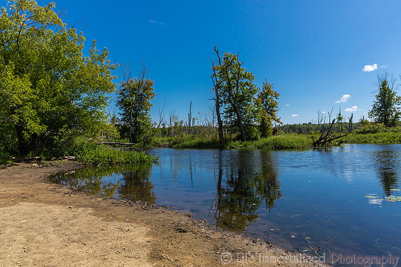 Ipswich River Wildlife Sanctuary