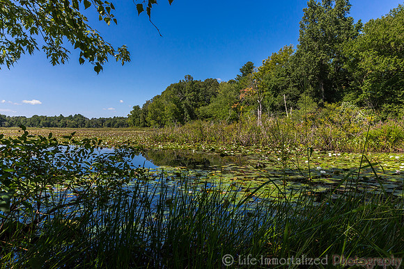 Ipswich River Wildlife Sanctuary