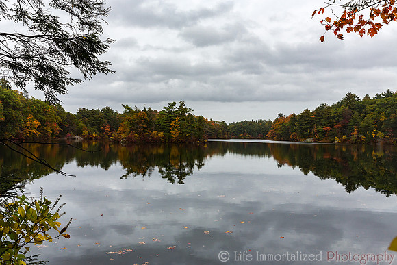 Breakheart Reservation