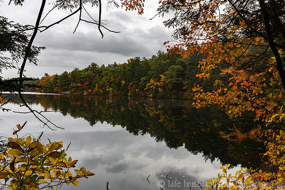 Breakheart Reservation