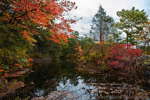 Breakheart Reservation