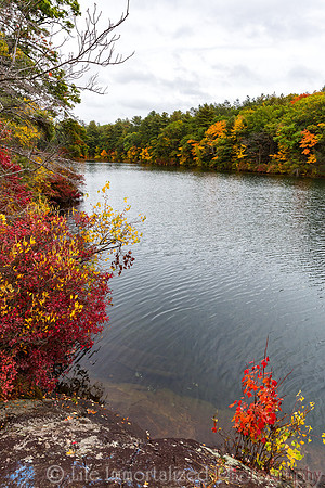 Breakheart Reservation