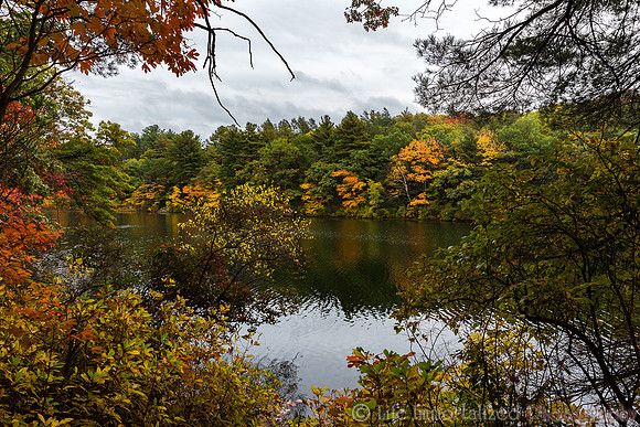 Breakheart Reservation