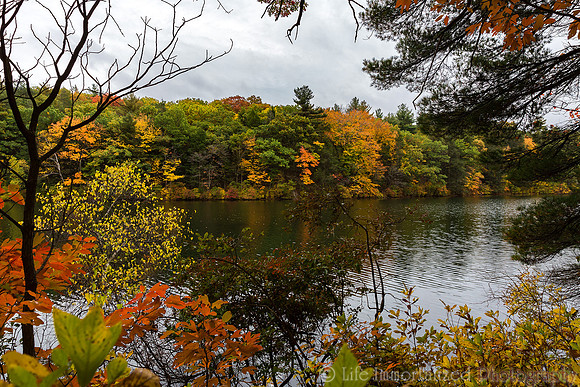 Breakheart Reservation