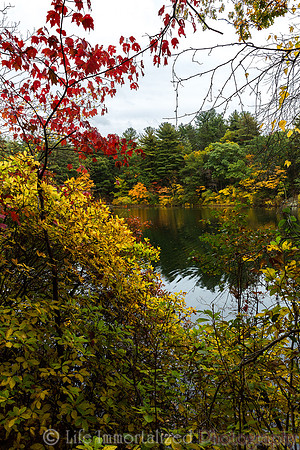 Breakheart Reservation