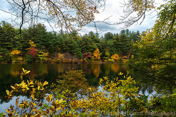 Breakheart Reservation