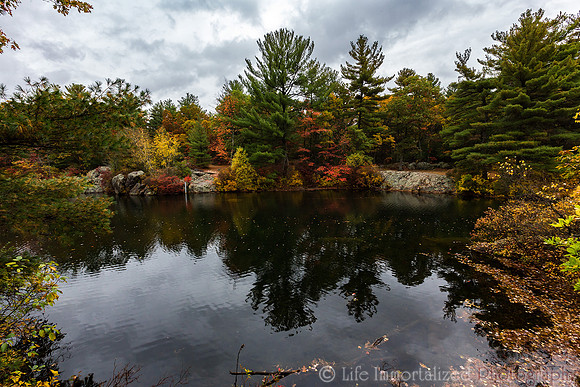 Breakheart Reservation