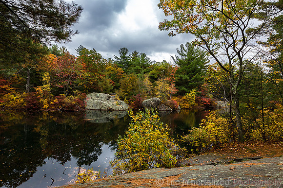 Breakheart Reservation