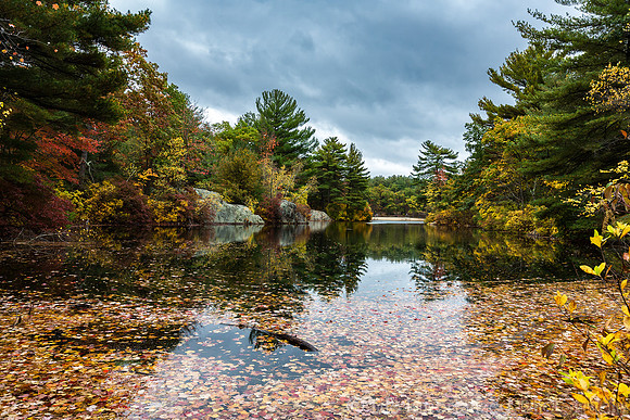 Breakheart Reservation