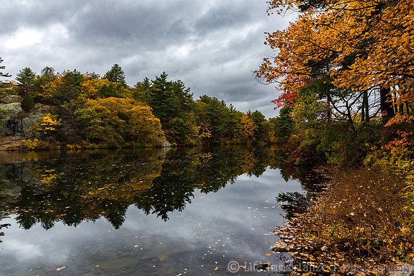 Breakheart Reservation