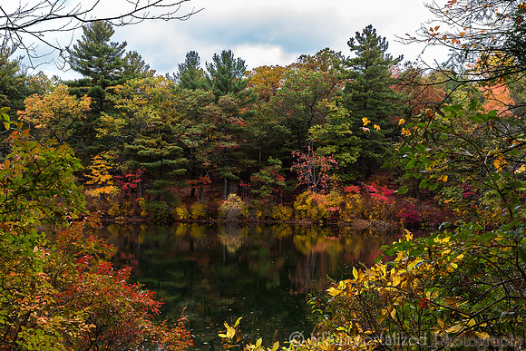 Breakheart Reservation